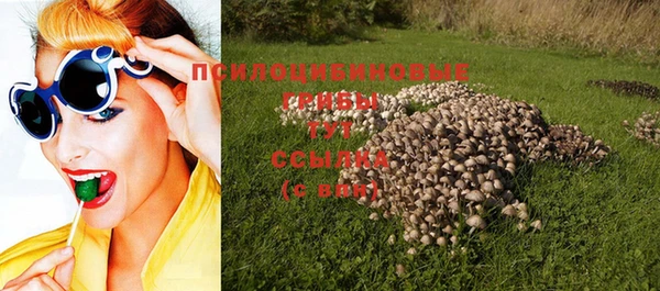 скорость Богородицк