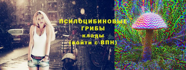 скорость Богородицк