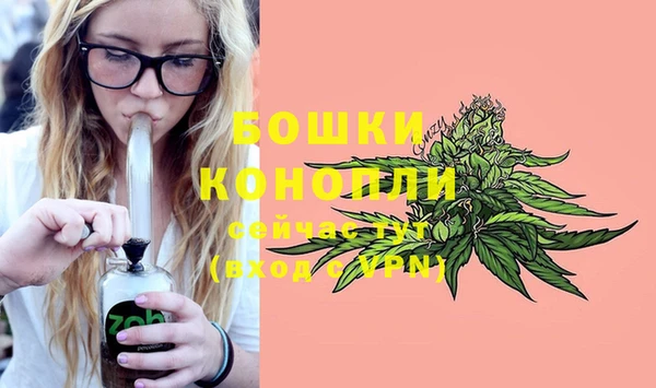 соль курить ск Богданович