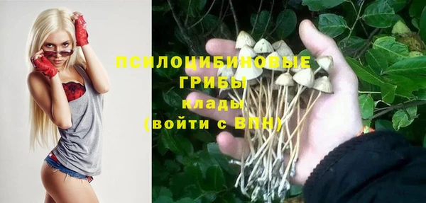 соль курить ск Богданович