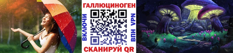 Псилоцибиновые грибы Psilocybe  Нахабино 